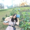Trần Thị Thùy Linh