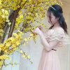 Phạm Thị Hoài