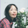 Thái Thanh Thảo