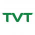 Công Ty TNHH TVT Holdings